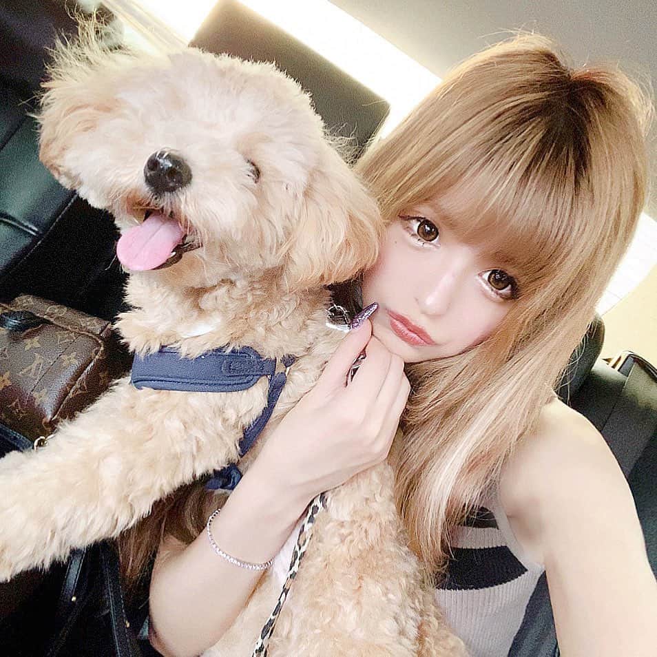 アンジェリカのインスタグラム：「❤︎ .  らるちん🐶 今日一緒に出かけたら普段ままにべったりなのに あんじぇに家帰ってきてもべったりで可愛いよ…(笑)🥱♡ .  今日でGLP-1ダイエット7月からまた初めて3週間目まーーじで暴飲暴食が無くなった(笑)😝体重もしっかり落ちてきたから8月も続けようかな♥ @tcbtomita ♡先生にいつも担当してもらってるよー！！ .  #東京中央美容外科 #東京中央美容外科渋谷院 #glp1ダイエット #美容外科 #ダイエット #tcb式ドクターズダイエット #りぃのダイエット #富田莉沙子 #渋谷」