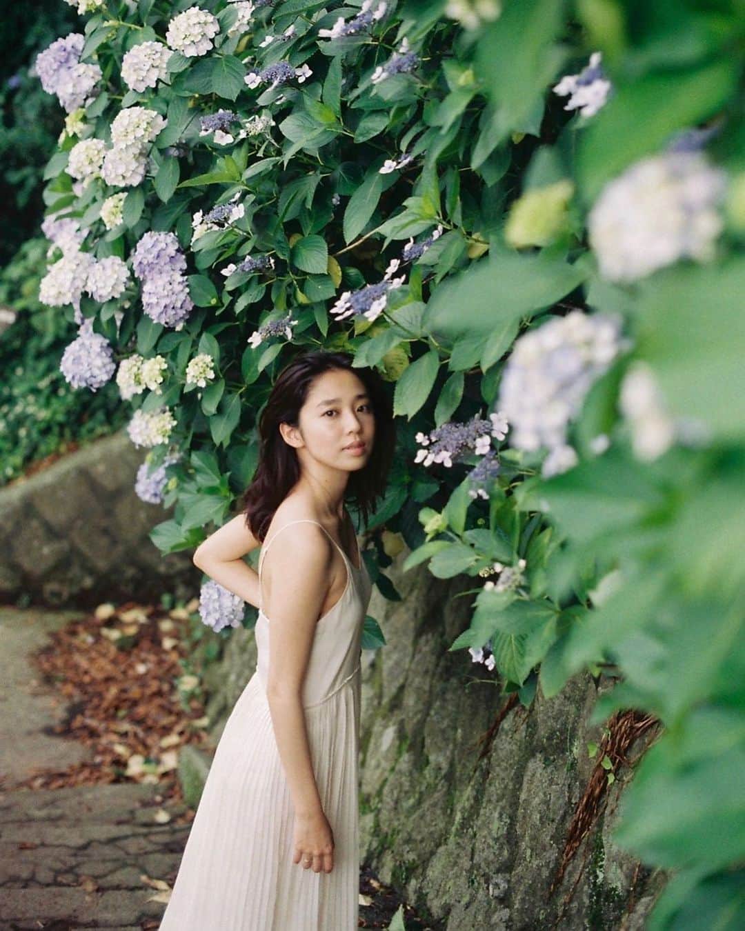 江藤百香のインスタグラム：「紫陽花と film by @hi_7sunny  ヒナコの撮る写真がすごくすき💙」