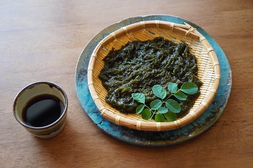森美術館のインスタグラム