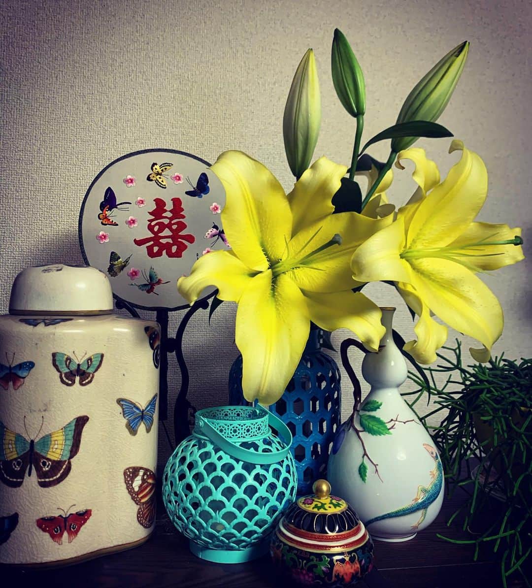 相澤樹さんのインスタグラム写真 - (相澤樹Instagram)「なんとも、うちに着いたら凄く良い香。こんな一輪でパワフルで、美しい妖艶の花。百合ー。色も最高。癒されております。今夜もまだまだ頑張らないと。 束の間の癒されタイム」7月22日 23時30分 - mikitiaizawa