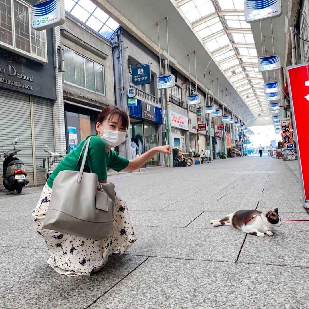 のインスタグラム：「猫に好かれた試しがない。  #広島テレビ　#テレビ派　#尾道ロケ #尾道商店街　#猫 #ガン無視」