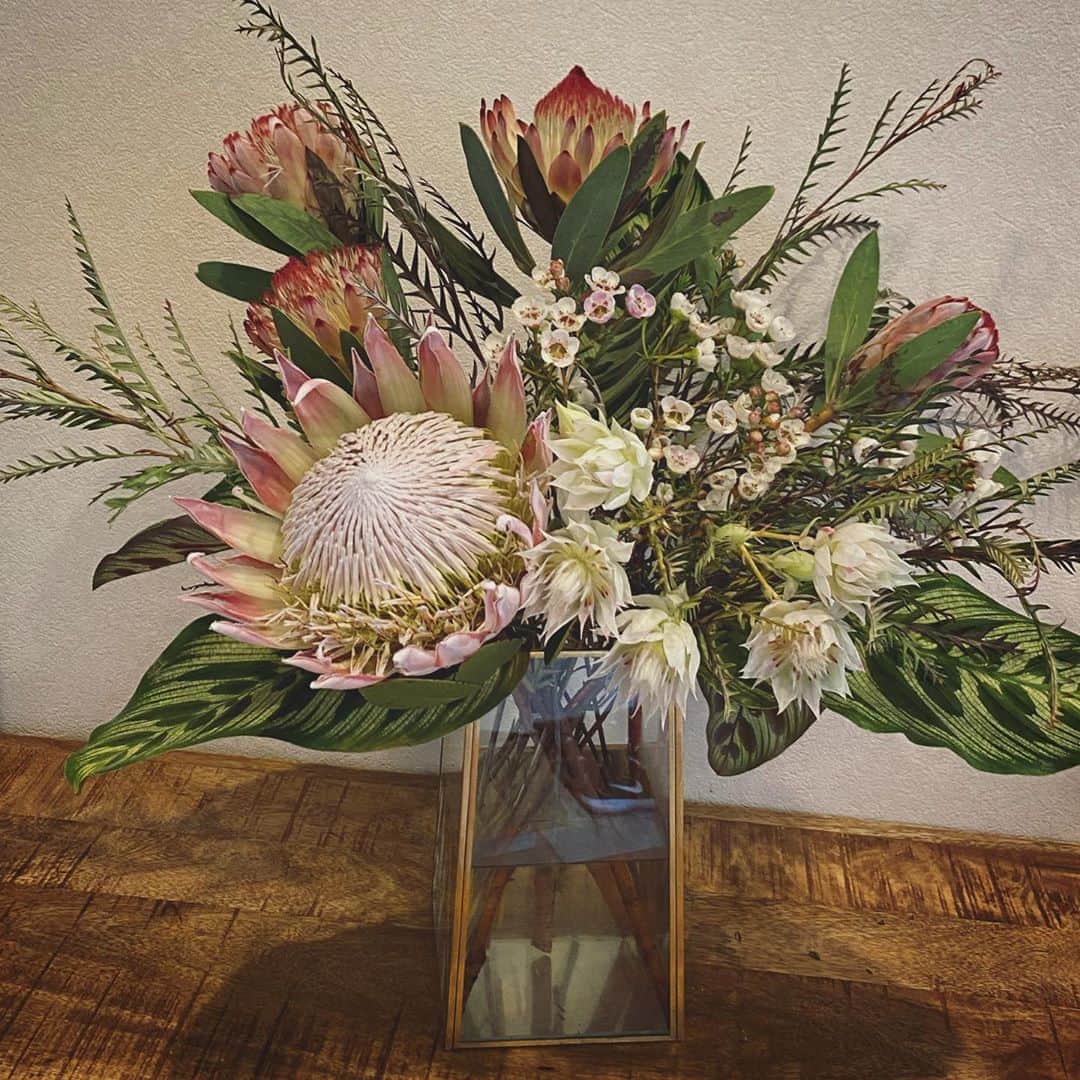畑野ひろ子のインスタグラム：「玄関に、キングプロテアをメインに。 暑さにも負けず✊  #flowers #ネイティブフラワー #ワイルドフラワー #キングプロテア」