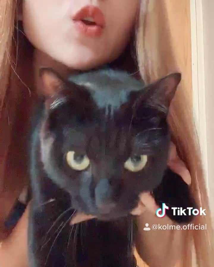 のインスタグラム：「. TikTok更新🍣 . . . #tiktokjapan#cat#catlover#cute#blackcat#foryou#fyp#猫のいる暮らし#ねこすたぐらむ#かわいい#黒猫」