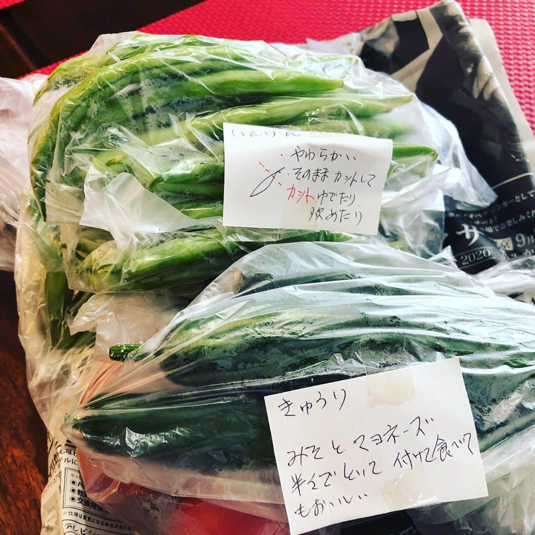 イモトアヤコさんのインスタグラム写真 - (イモトアヤコInstagram)「・ #夏野菜が届きました #食べ方付き #優しい」7月23日 11時49分 - imotodesse