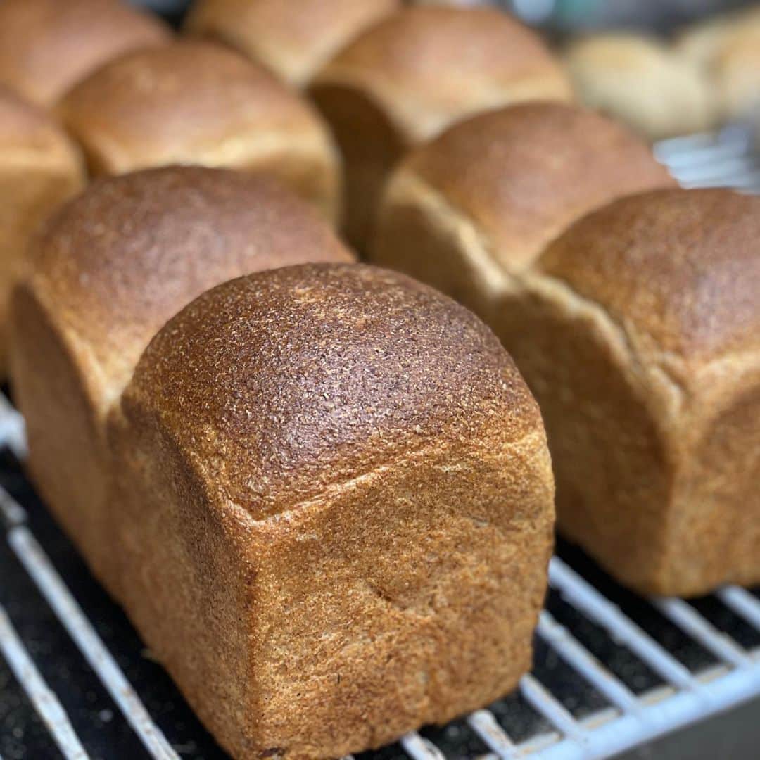 魔女菅原のグルメインスタ