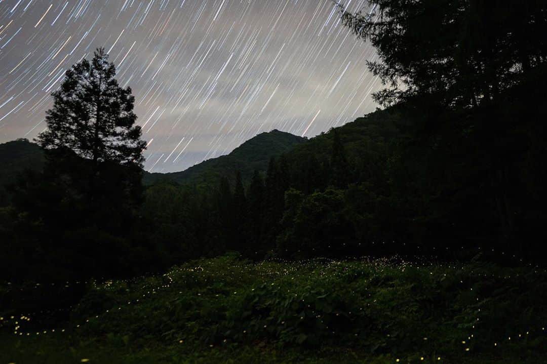 山人のグルメインスタ