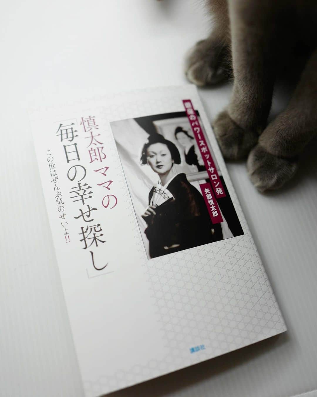 のインスタグラム：「. 先日、思いがけず幸運にもお会いできた銀座の「サロン・ド・慎太郎」のママ慎太郎さん。美しいものや日本文化に造詣が深く、サロンや料亭の他に器のギャラリー（ @mikado.utsuwa ）も経営されていて、軽やかに深く華やかなお方。いつかお会いしたいと思っていました。  ここ数日、29歳で逝ってしまった親友の命日と若い俳優さんの痛ましいニュースとが重なり、わたしにしては珍しく心臓に重く大きな岩が乗っているように感じていました。  そんな時に慎太郎ママにお会いできて、本を読み直すことでひらりと元に戻ることができた気がします。  いつもは心に留めている言葉や哲学も、ふと気付くとどこに置いたか分からなくなってしまっていることがあります。そんな時に自分をニュートラルに戻してくれる人、または本や歌、映画などに助けられている.....周りがあってこそ自分は生かしてもらっているんだなぁと改めて思ったりしたのでした。」
