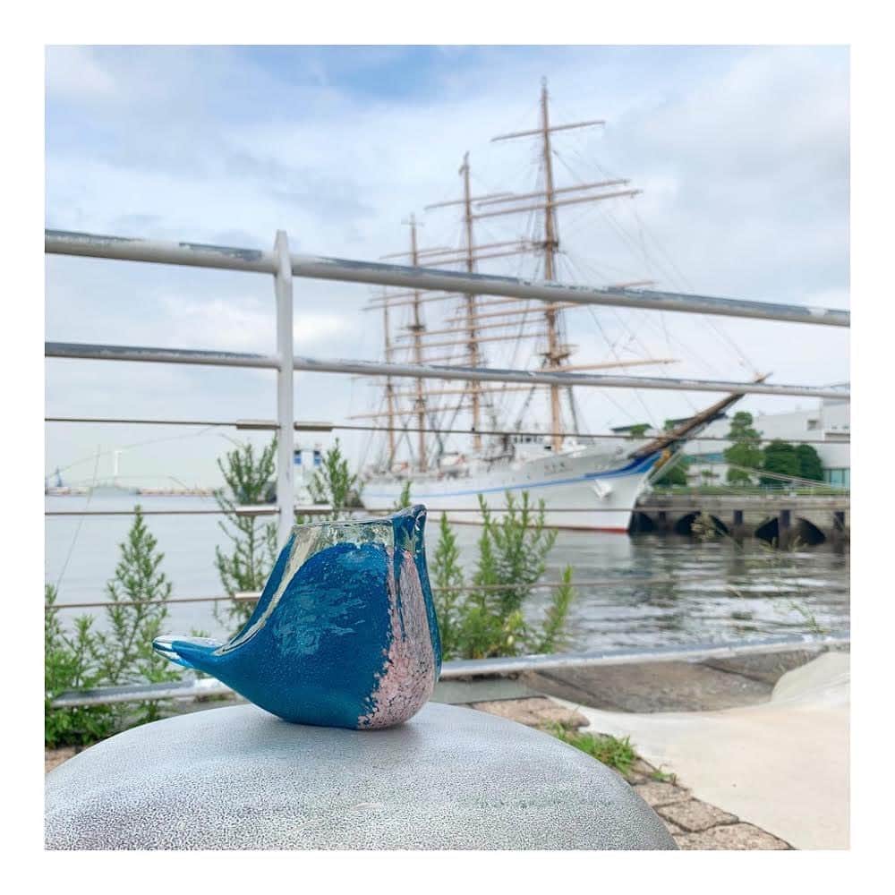 FreePark_Yokohamaさんのインスタグラム写真 - (FreePark_YokohamaInstagram)「⚓️ 小鳥たちの話し声が聞こえてくるかな⁉️ ・ 最近は元気になるようなニュースが少ないので、 「楽し気な雰囲気が伝わったらいいな」 と思って小鳥の家族みたいに撮ってみました😆💕 帆船はいつもあるわけではないので記念にカシャ👍😉 ・ ガラスの中に詰められたカラフルな気泡が 楽しい気持ちにしてくれるオブジェです💗🐣 ・ 独特な配色が可愛くて、 インテリアを彩ってくれます✨✨✨ 港に停泊している帆船との相性も抜群‼️ ・ MARINE&WALKは港のすぐそばにあり、 施設内もフォトスポットがたくさんあります😊 ・ ワンちゃんの写真を撮っていたり、 カップルや友達同士で思い出作りをしていたり、 笑い声が聞こえると私達も楽しい気持ちになります❤️ 是非お散歩にフラッといらして頂けると嬉しいです☺️✨ ・ BIRD PAPER WEIGHT Lサイズ JPY 3,200 +tax Sサイズ JPY 2,000 +tax  ・ ・ ・ 最後までお読みいただきありがとうございます💕  店舗とオンラインショップでは取り扱い商品が 異なることがございますので、 是非プロフィールのURLもご覧下さいませ 🙏✨ ・ ・ #lifestyle #design #暮らし #雑貨 #雑貨屋 #ジュエリー #jewerly #アクセサリー #bag #バッグ #shoes #スニーカー #ファッション #ナチュラル #洋服 #多肉植物 #器 #アロマ #みなとみらい #MARINEandWALK #マリンアンドウォーク  #セレクトショップ #Likes #love #小鳥 #bird #可愛いオブジェ #Paperweight #ペーパーウェイト #文鎮」7月23日 11時13分 - freepark.jp