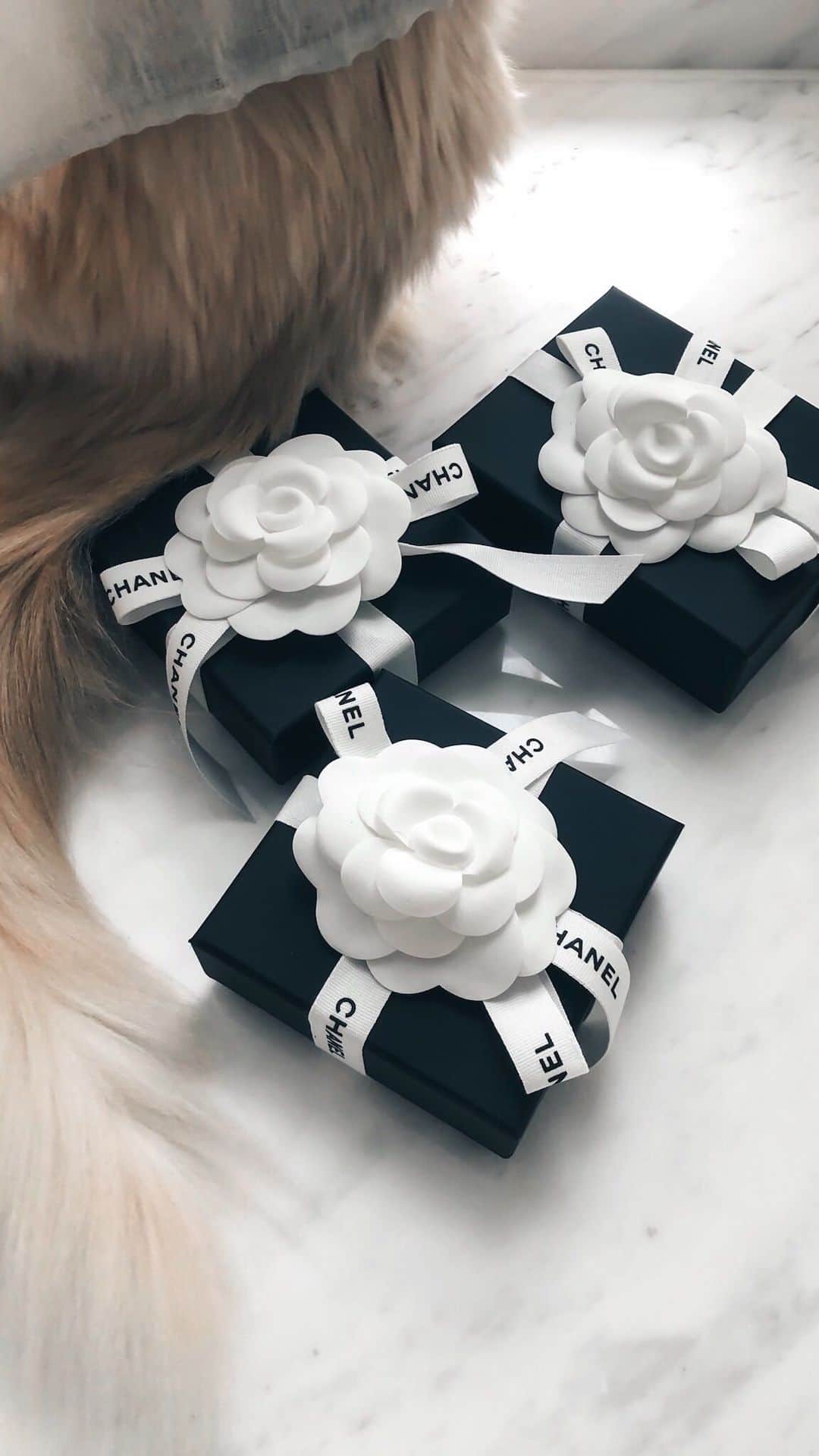 Ruby Kwanのインスタグラム：「Our #ChanelUnboxing again. 🖤 I found some lovely costume jewellery from the #chanelspringsummer 2020 collection. Love the brooch which looks like my cat baby #Luna sitting on the moon so much. 😻🌙🌸 Also, I can’t resist on my lucky number (#no5) necklace. Enjoy! 💫 #rougeclosetunboxing  ———————————————————————— #chanel #chanelhk #chanelcostumejewellery #chanelss2020 #chanelbrooches #chanelnecklace #chanellover #chanellove #chanelno5 #neverwithoutmychanel #unboxingvideo #openbox #unbox #fashionjewellery #personalstyleblog #styleinfluencer #luxurystyle #prettylittleiiinspo #accessoriesoftheday #accessoriesaddict #hongkong #igtvchannel #igtvvideos」