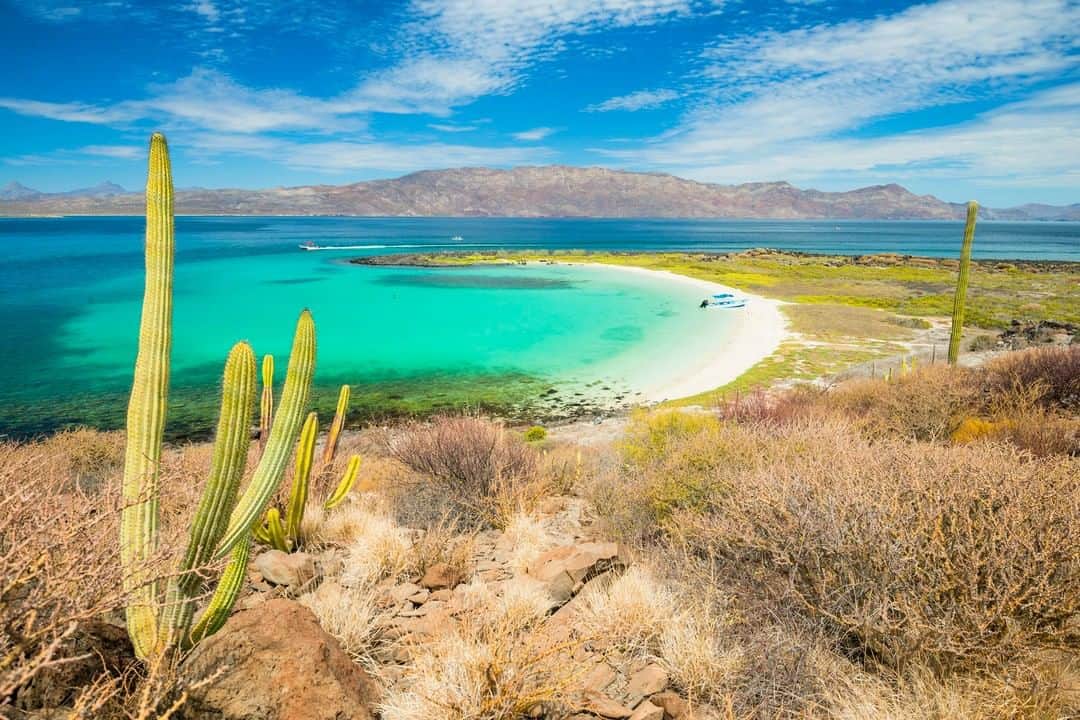 Lonely Planetのインスタグラム：「It's not time to go multi-country road tripping yet but we've never been ones to shy away from giving you something to plan. Driving along the Pan-American Highway might just be the ultimate road trip in the Americas. Tap the link in our bio to find out what could be in store for you once it's safe to get back out there.」
