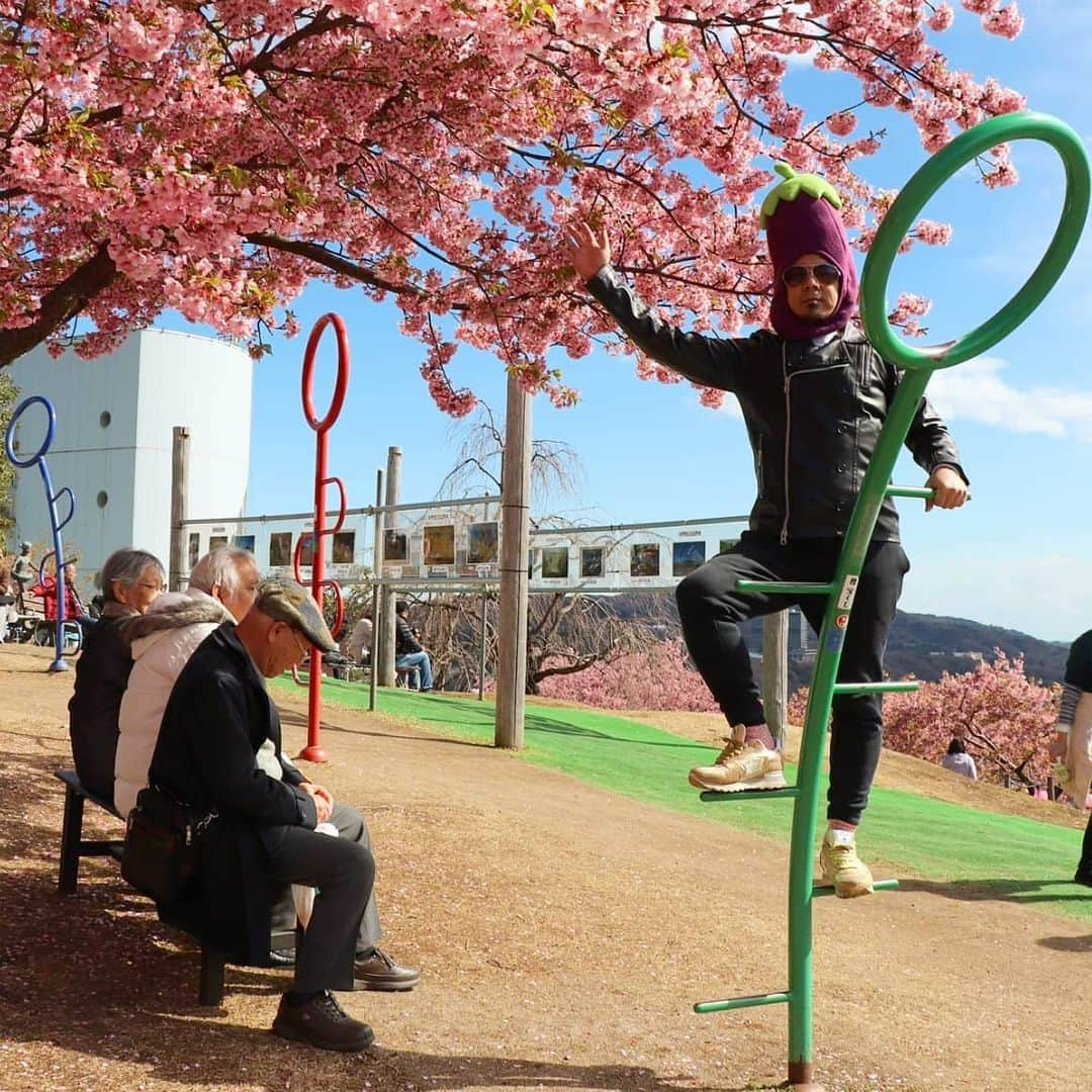 川原克己 さんのインスタグラム写真 - (川原克己 Instagram)「#花見 #花見 #花見 #花見 #花見 #花見 #花見 #花見 #花見 #花見 #花見 #花見 #花見」7月23日 11時53分 - tenjikunezumikawahara