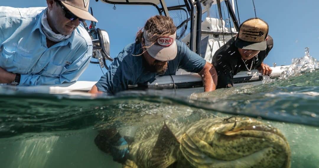 Costa Sunglassesのインスタグラム：「Taming the beast. 📷: @carterandrewsfishing #SeeWhatsOutThere #BornOnTheWater」