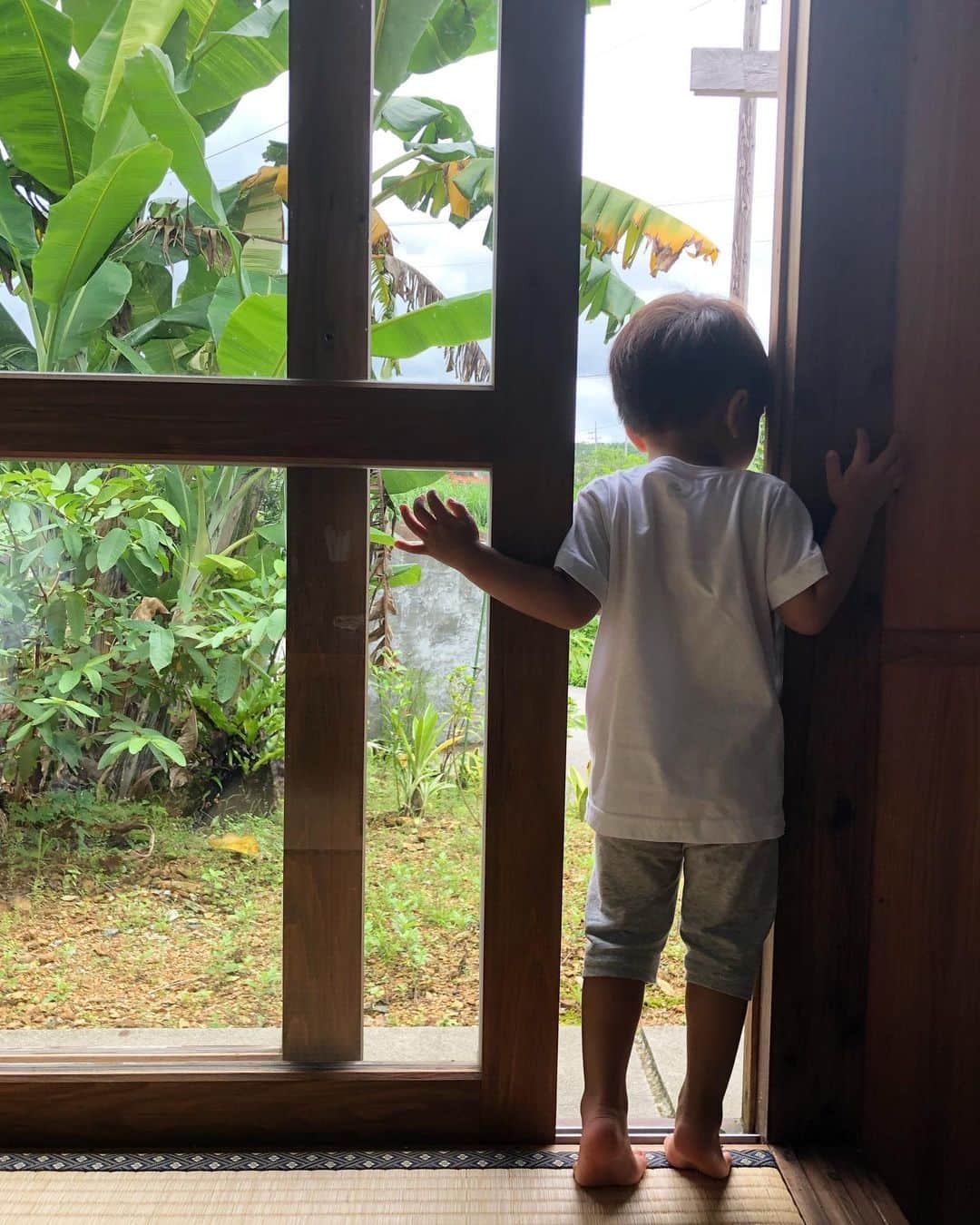 のインスタグラム：「息子くん、夏休みに突入してます。 初日は二人で予定表を作り 園はないけど、 規則正しい生活を心がけようと 自分にも戒め　笑  #2歳8ヶ月　#男児　#毎日おもちゃ買いたい話　#なんか買いたいが口癖　 #スーパーに行きたいって泣く なにそれ？」