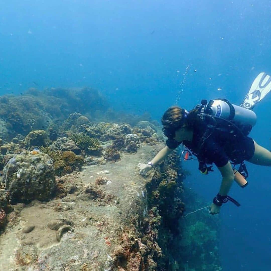 ポール・ウォーカーさんのインスタグラム写真 - (ポール・ウォーカーInstagram)「“We are very proud to present @MaggieSeida as our 2020 Paul Walker Ocean Leadership Award Winner! Welcome to #TeamPW, Maggie! ⁣ ⁣ This summer, Maggie is excited to further her research in marine conservation by modeling seagrass beds and corals to create data and imagery that will be used in conservation of these ecosystems. Keep up the good work Maggie, you are an inspiring #OceanLeader! #DoGood” - @PaulWalkerFdn」7月23日 8時58分 - paulwalker