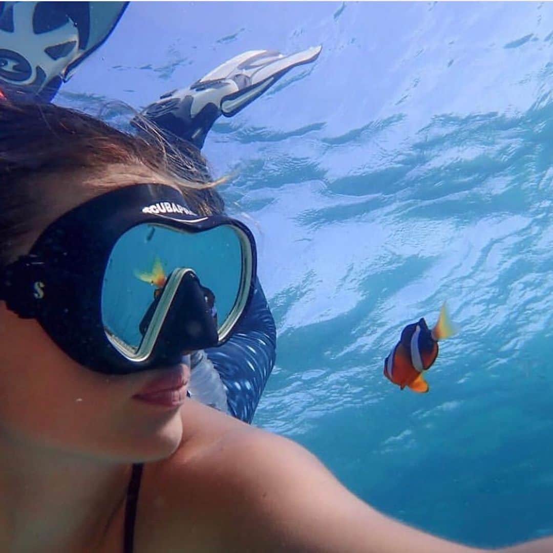 ポール・ウォーカーのインスタグラム：「“We are very proud to present @MaggieSeida as our 2020 Paul Walker Ocean Leadership Award Winner! Welcome to #TeamPW, Maggie! ⁣ ⁣ This summer, Maggie is excited to further her research in marine conservation by modeling seagrass beds and corals to create data and imagery that will be used in conservation of these ecosystems. Keep up the good work Maggie, you are an inspiring #OceanLeader! #DoGood” - @PaulWalkerFdn」
