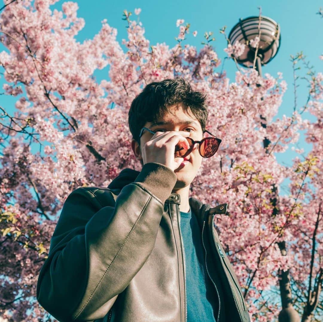 のインスタグラム：「後ろの桜ひっこぬいてアンドラに持って行きました」