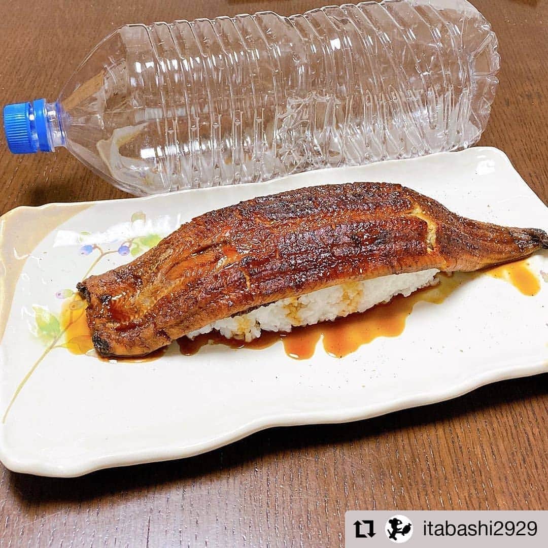 のインスタグラム：「7月21日は #土用の丑の日 でしたね( ´艸｀) たくさんのお客様にご注文頂き本当にありがとうございました✨  本日のお写真は、鹿児島県産うなぎの1本握りを作ってお召し上がり頂いたお客様のです🎵  ご購入＆タグ付けありがとうございます🦀  二の丑は、8月2日✨ ご予約、まだ間に合います🙆‍♀️🙆‍♀️💕  #Repost @itabashi2929 • • • • • • うなぎ一本握り♡ #うなぎ #うなぎ握り #うなぎ蒲焼 #お寿司 #握り #蒲焼 #うなぎ一本 #土用の丑の日 #土用丑の日 #うなぎの日 #甲羅組」