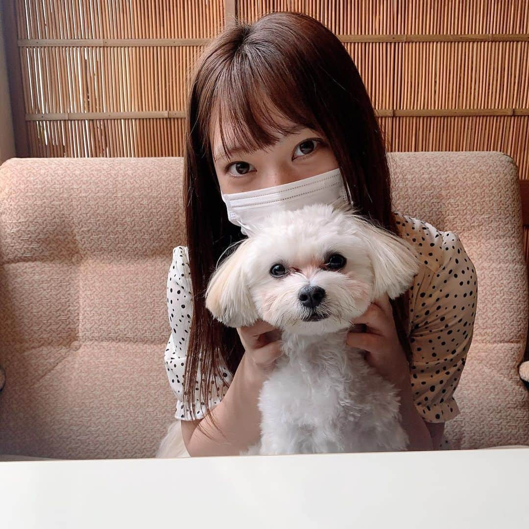 山田寿々さんのインスタグラム写真 - (山田寿々Instagram)「﻿ ﻿ お姉ちゃんのワンちゃん🐶﻿ ﻿ 諭吉🐶🤍🤍﻿ ﻿ ﻿ めちゃくちゃ可愛くて癒された〜☺️﻿ ﻿ 朝は諭吉からのちゅーで目覚めたりしてました☺️😘笑﻿ ﻿ ﻿ 見る度に大きくなってて可愛い。。﻿ ﻿お散歩の時ずっとうさぎみたいにぴょんぴょんしてるのも可愛かった。。 ﻿ #dog 🐶」6月29日 19時17分 - suzu48_tan_1211