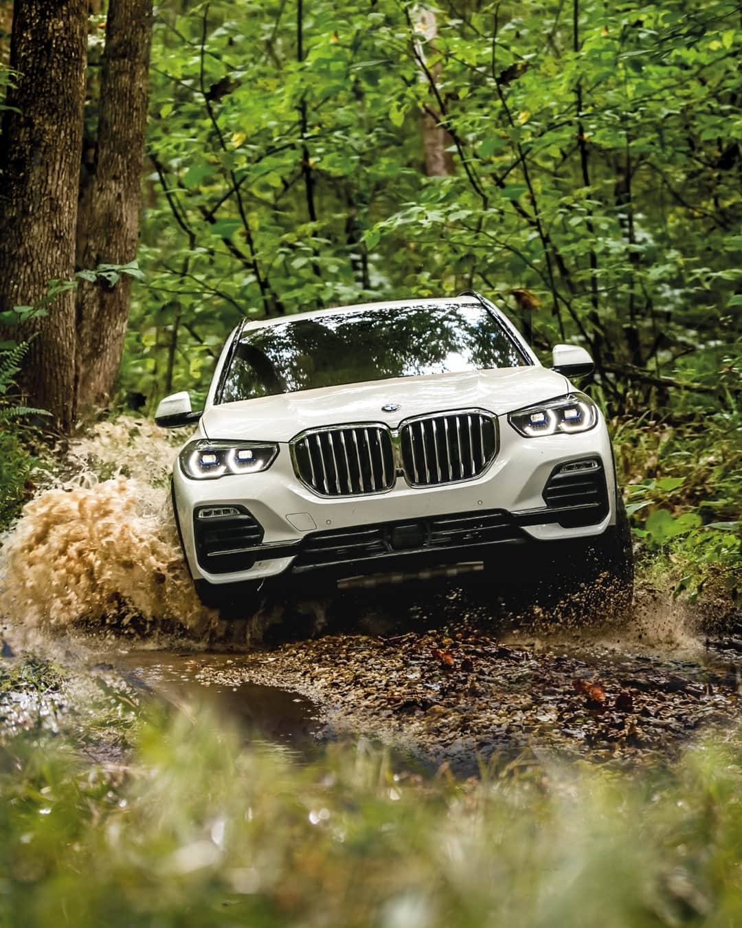 BMWのインスタグラム：「These are not cars.  It’s a herd of quadrupeds, strolling through the country and exploring everything it has to offer. Follow them on their summer migration…  Happy International Mud Day. #TheX5 #BMW #X5 #MudDay #natureplay #getoutthere #xDrive」