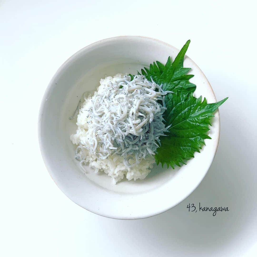 市橋有里のインスタグラム：「神奈川のしらす丼 ・ しらすをたんまりと乗せるだけで 間違いない美味しさ。 ごま油たらり、卵黄も乗っけて茗荷やネギも一緒に♪アレンジ自在だけど、 実はシンプルなのが1番好き。中学時代、朝練前の朝ごはんに母がよく作ってくれました。(ご飯としらすは別の器に入っていたけどw)疲労骨折もせずにトレーニングできたのは、嫌いな牛乳を克服したのとこのしらすかな笑 ・ #聖火リレー #47都道府県 #43県目 #郷土料理 #郷土料リレー #ソウルフード #しらす #しらす丼 #神奈川 #おうちごはん #小料理屋あり #カルシウム摂取 #instafood  #soulfood #感謝」