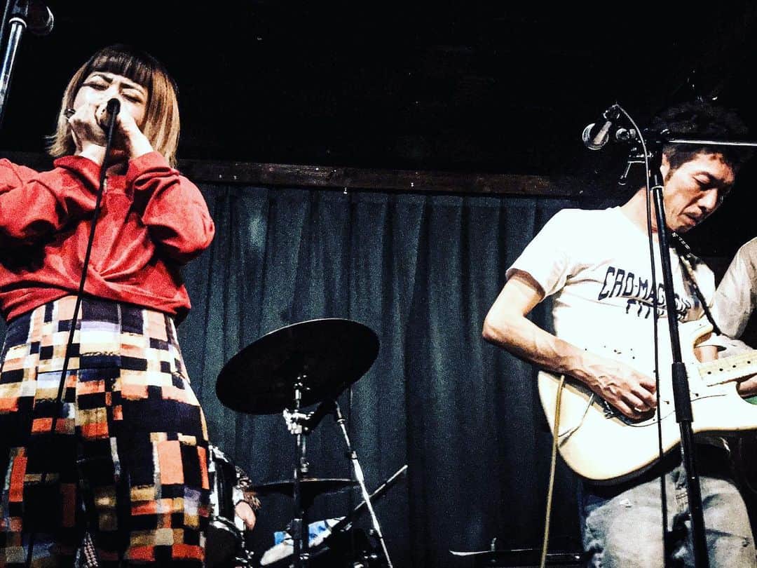 竹内朋康のインスタグラム：「明日は元住吉POWERS 2にて Party Of Boogie なバンド MOMIJI & Bluestonesのライヴです！ ★Momiji＆BluestonesワンマンLIVE★ 2020/6/30（火）＠元住吉POWERS2 OPEN 18:30/START 19:30（2SET） ADV￥3000／DOOR￥3500 要予約：規定人数に達し次第受付終了とさせて頂きます。 1ドリンク＋1フードのオーダーをお願いします。 手指の消毒、マスクの着用をお願いします。 ■LIVE Momiji＆Bluestones 大久保紅葉（Vo,Harp） 竹内朋康（Gt） 小阪惇平（Gt） 前田サラ（Sax） 大神田智彦（Bass） 白根佳尚（Dr） ■DJ Lightoo Light ■TICKET&INFO ホームページの予約フォームから御予約可能（前売のご予約は前日の23時迄となります） 注）24時間以内に返信メールが届かない場合はお電話にて確認お願い致します。 https://www.powersbar.com/powers2/event/20200630/ 〒211-0021 川崎市中原区 木月住吉町21-5 東急東横線元住吉駅より徒歩約8分 元住吉POWERS2 TEL 044-455-0007 ※席は御来場順となります。 ※ライブチャージのカード決済には対応しておりません。 ※お車でお越しの際は近隣のコインパーキングを御利用下さい。 営業時間 11:30-14:00／18:00-24:00（火曜定休）」