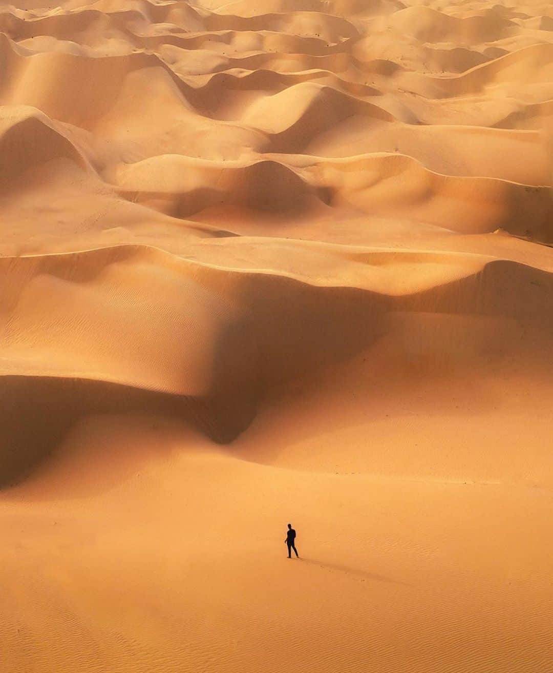 Canon Photographyさんのインスタグラム写真 - (Canon PhotographyInstagram)「Sunsets in the UAE  Photography | @karl_shakur  Curated by @henry.nathan  #dubai #desert #sunset #shadows #uae」6月29日 18時15分 - cpcollectives