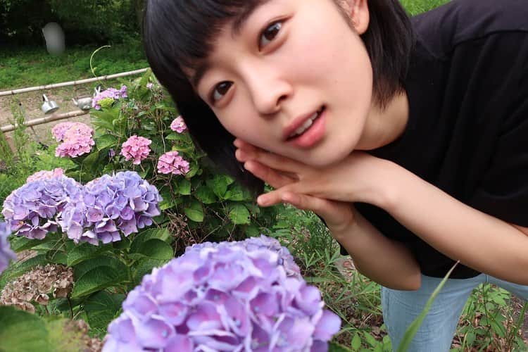 河村花さんのインスタグラム写真 - (河村花Instagram)「🟣 #紫陽花 #あじさい #かっわいー！ #去年から待ってたよー #河村花」6月29日 18時33分 - hana_kawamura