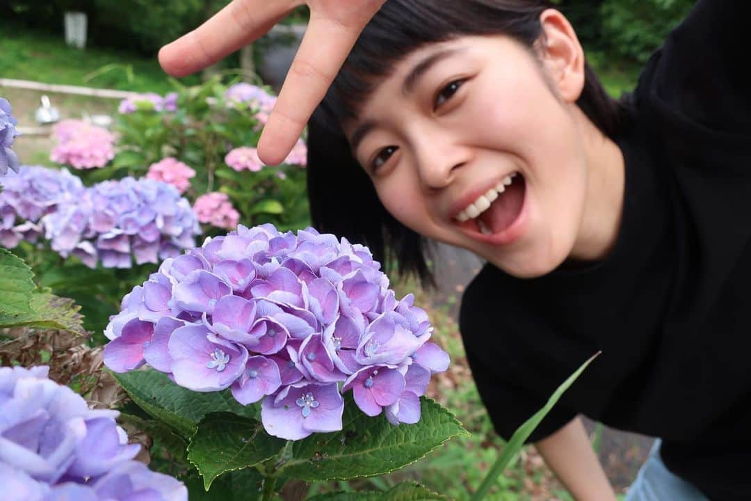 河村花さんのインスタグラム写真 - (河村花Instagram)「🟣 #紫陽花 #あじさい #かっわいー！ #去年から待ってたよー #河村花」6月29日 18時33分 - hana_kawamura