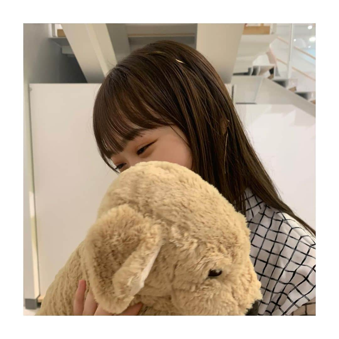 渡邊美華さんのインスタグラム写真 - (渡邊美華Instagram)「ぬいぐるみ可愛かった🧸 #ikea  #ikea原宿  #イケア  #イケア原宿  #渡邊美華」6月29日 18時27分 - mika_watanabe1215