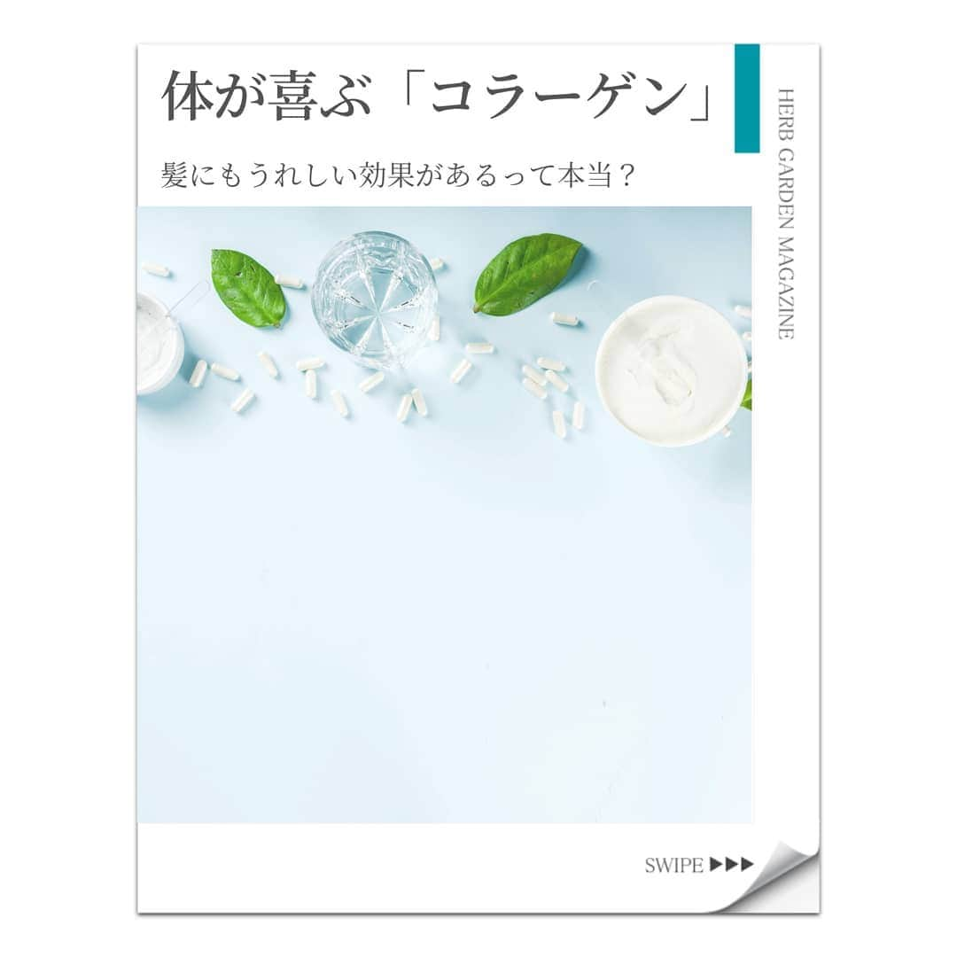 ハーブガーデン（さくらの森）公式のインスタグラム：「. 【○○と一緒に摂れば、体が喜びます】 . 「コラーゲン＝美肌」 をイメージする方は 多いかと思います。 . しかし、本当は、 コラーゲンが効果を発揮するのは 肌だけではありません。 . しかも、 「コラーゲンだけ」 を摂取してもダメなんです。 . この投稿を読んで、 体が喜ぶ理由と コラーゲン摂取のコツを チェックしましょう！ . （@herbgarden_organic） ====================== 【植物の力で美しさを取り戻す。美容やライフスタイル情報を発信中】 ・季節に合わせたスキンケア ・肌にいいボタニカルな食べ物 ・あなたにあったコスメの選び方 ・今人気の美容方法　など  #ハーブガーデンシャンプー をつけて投稿すると、 お写真を紹介させていただくことも。  詳しくは 【@herbgarden_organic】をご覧ください。  #シャンプー #ヘアケア #トリートメント #髪質改善 #オーガニック #コンディショナー #ノンシリコン #ハーブガーデン #頭皮ケア #美髪ケア #サラサラヘア #ダメージケア #美容好きと繋がりたい #ハーブのある暮らし #モテ髪 #髪質 #香りのある生活 #ノンシリコンシャンプー #ボタニカルシャンプー #キューティクル #ダメージケアにオススメ #美髪ケアトリートメント #ボタニカルシャンプーコンディショナー #ヘアケア難民 #ハーブシャンプーでサラサラ #ノンシリコンのハーブガーデン #ボタニカルシャンプーはハーブガーデン #ノンシリコンシャンプーはハーブガーデン #サラサラヘアにはハーブガーデン」