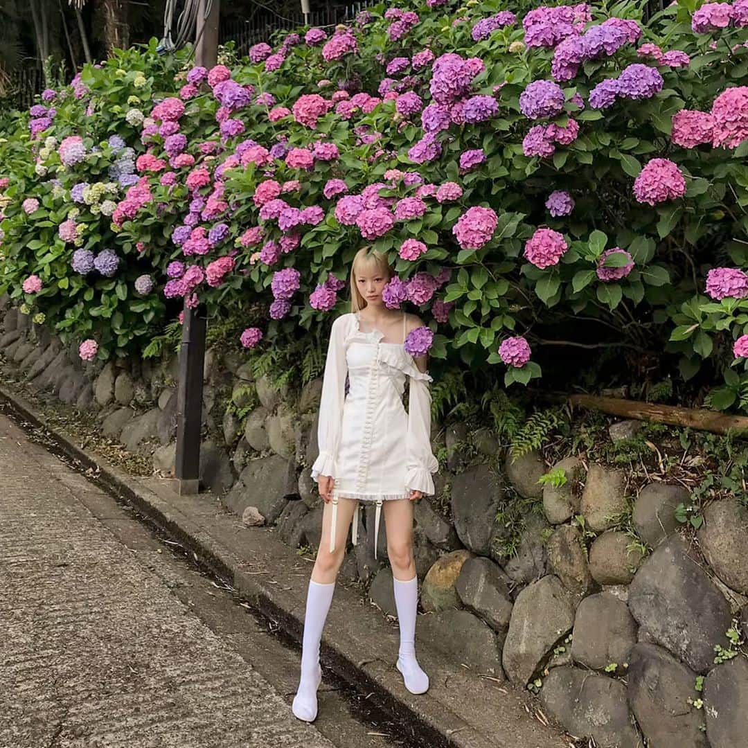 フェルナンダ・リーのインスタグラム：「A year ago 🥀」