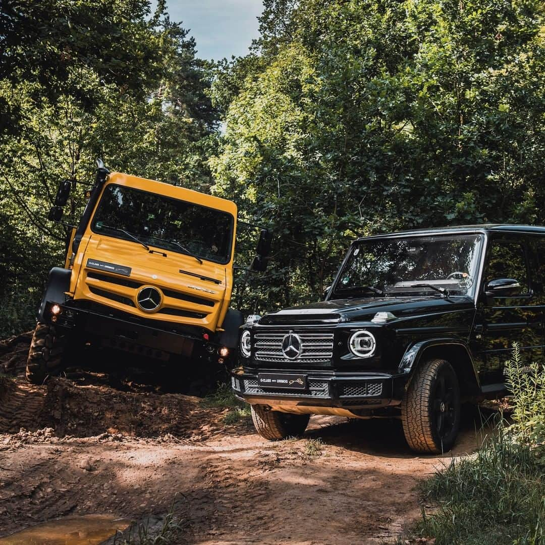 メルセデス・ベンツさんのインスタグラム写真 - (メルセデス・ベンツInstagram)「Vehicles that rise to top form in extreme terrain, have captivated with amazing technological feats for decades and have a dedicated worldwide fan base in their corner. Mercedes-Benz has no less than two of them. The Mercedes-Benz G-Class and Unimog  #MercedesBenz #Gclass #Unimog #strongerthantime #mercedes #benz #offroad #dirttrack」6月29日 19時01分 - mercedesbenz