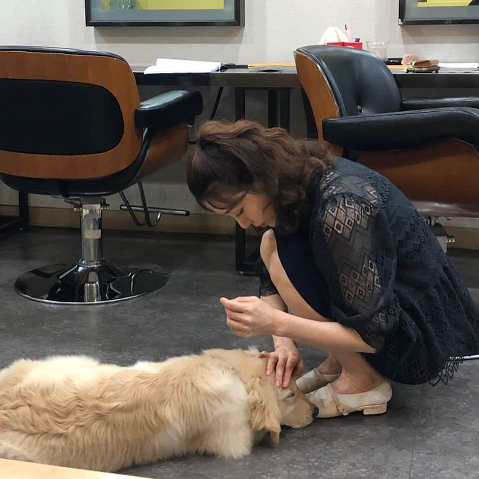 イ・アヒョンさんのインスタグラム写真 - (イ・アヒョンInstagram)「우리 이쁜 진순이.... 너가 많이 좋단다...!이렇게 좋아해도 되지...? #기막힌유산 #여기는세트촬영장 #강아지키우고싶다#비주야사진고마워」6月29日 18時53分 - ujl1011