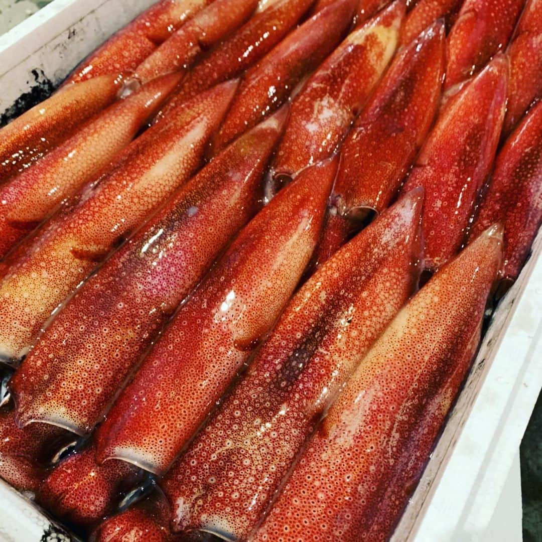 のインスタグラム：「6月29日月曜日 週末の雨風の影響かお魚が少なかったです… その分しっかり見て少ないですがオススメ品買い物しました 長崎の白いかープリっとしていて旨そうー洋食数店舗に入ってます！今日の陽気にビールにグリルしたイカが最高ですね！勿論横浜馬車道にも入れてあります！ 豊洲場外食堂や総本店には徳島のどデカイ岩牡蠣仕入れてみました何と一個390円… やはり値下がらないウニも少しお譲り頂いて馬車道ウオキンダイナーと豊洲場外食堂に破格にて提供致します！お越しの際は是非スタッフに残って無いか確認してみて下さい！ 小ぶりの淡路の鯵は馬車道で是非食べて見て下さい！ フワフワですよー 今から僕が全て開きに行きます！ その他のお店にも 和歌山の鮎や琵琶湖の稚鮎、マテ貝や真牡蠣と旨い物揃えて魚金はお昼より営業しています！魚食べるなら魚金へ　　と言ってもらえる仕入れを頑張りますので宜しくお願い致します。 馬車道ウオキンダイナーのオープンキャンペーンも7月1日までやっています！締めのウナギパエリアは豪快で旨い！横浜にお越しの際は是非ご利用下さい  仕入部　片之坂 #魚金 #新橋#新橋居酒屋#居酒屋#銀座#京橋#神田#海鮮丼#刺身#吉祥寺#梅#池袋#ウニ#たらこパスタ#刺身盛り合わせ#パエリア#渋谷#魚好きと繋がりたい #レモンサワー#馬車道#本鮪#横浜グルメ#飲酒タグラム #オープン#日本酒好きな人と繋がりたい #どんぶり#うなぎ#ステーキ#金目鯛 #yummy」