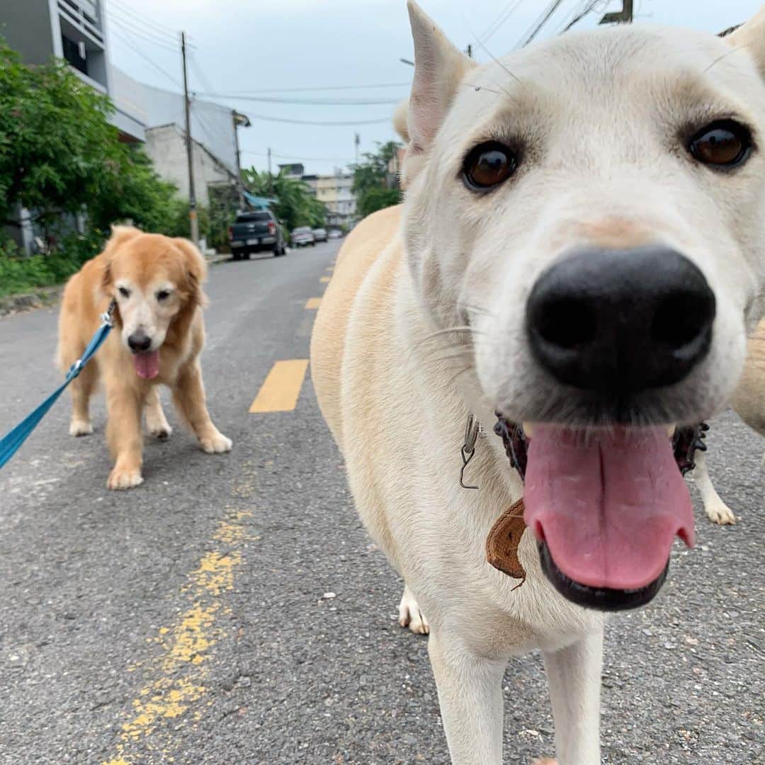 tamatamagoのインスタグラム