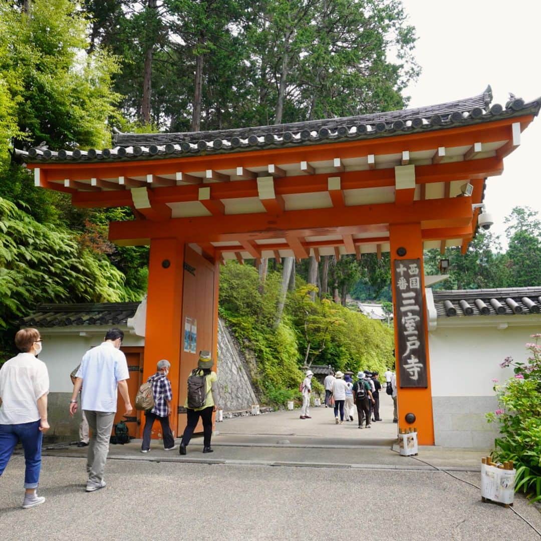 小嶋晶子のインスタグラム：「Went to Mimurotoji Temple which has been famous for Hydrangea serrata, so known as 'Ajisai-dera': The Temple of Hydrangeas. In Japan, the rainy season will be over and the summer is coming soon! もう少しで紫陽花の見頃も終わる。梅雨も明ける。夏が来る。今年はいつもの夏と違うけど、いつもと同じく暑いんだろうなぁ☀️🥵 #mimurotoji #mimurotojitemple #hydrangea #rainyseason #kyoto #kyotojapan #japan #三室戸寺 #紫陽花寺 #紫陽花 #梅雨 #京都 #日本 #💠 #☔️ #☀️ #🇯🇵」