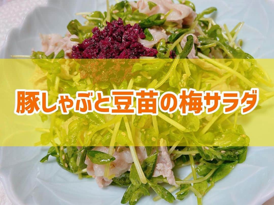 菅長愛子のインスタグラム：「🍳🥗 #豚しゃぶと豆苗の梅サラダ ． ①豆苗を半分にカット ②豚肉は食べやすい大きさにカットして、沸騰したお湯にしゃぶしゃぶする ③ボウルに①,②とごま油、麺つゆ、酢、白ごま、梅肉を入れて混ぜる ④お皿に盛り付けて完成！ ． 簡単時短レシピ！！ モリモリ食べれます！！！ ． ． #ダイエット  #ダイエットメニュー  #ダイエットご飯  #ご飯  #つくりおき  #メニュー  #献立 #おうちご飯  #トレーニング女子  #血糖値  #健康  #ダイエット飯 #ヘルシー料理  #手料理  #昼ごはん  #ランチ  #晩御飯 #夜ご飯  #サラダ  #献立  #レシピ  #recipe  #ヘルシーメニュー好きと繋がりたい」