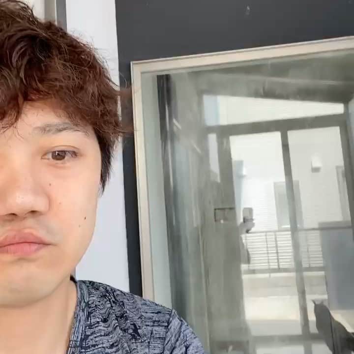 GEN3 Owlのインスタグラム：「人間、挨拶は大事だよってさんざん親に言われてきたけど、まさかそれをフクロウに継承することになるとは思わなかった笑 My parents told me that greetings were important, but I couldn't imagine I teaching the owl. #owl #owlgaru」