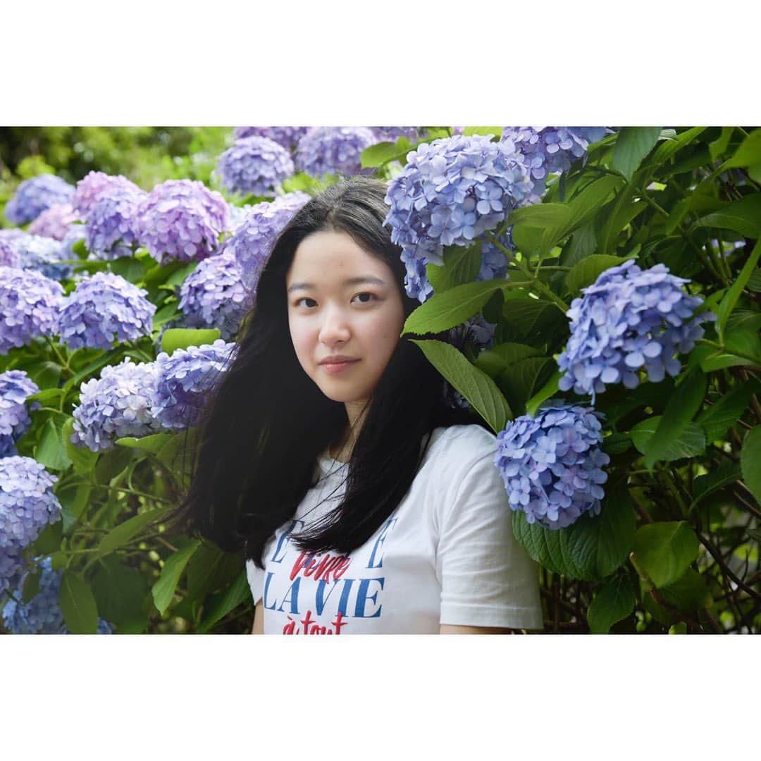 藤野涼子のインスタグラム：「散歩中に紫陽花を見つけました。 #あじさい #hydrangea」