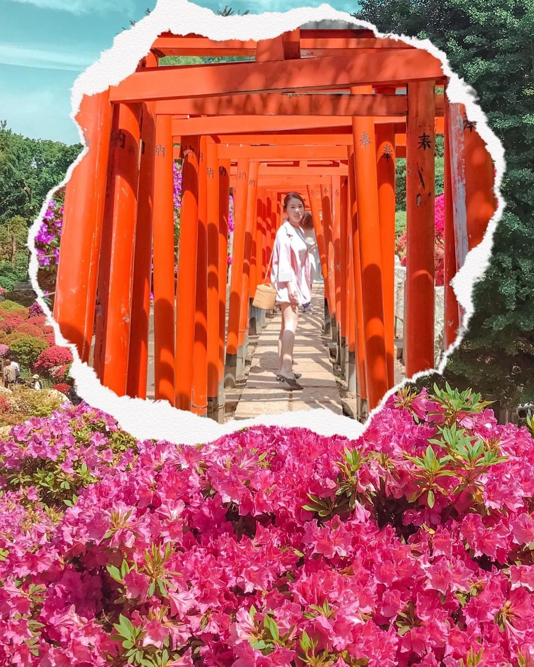 LIKARANAIさんのインスタグラム写真 - (LIKARANAIInstagram)「傳說是東京都最古老的神社⛩️ 為了看這杜鵑花美景早上9點來爬這小山坡看花海🌳 － 超澎湃的杜鵑一球球的很可愛 旁邊還有迷你版千鳥居 就像𣊬間到了一趟京都伏見稻荷 。 。 。 。 。 。 #likarantravel #travel #根津神社 #travelphotography  #tokyo #travelgram #travelholic #hkig #likeforlikes #shoutout #hkblogger #family #likarantravel日本 #tokyo #lightroom #lightroompresets #東京旅行 #写真好きな人と繋がりたい #カメラ好きな人と繋がりたい」6月29日 11時39分 - likaran