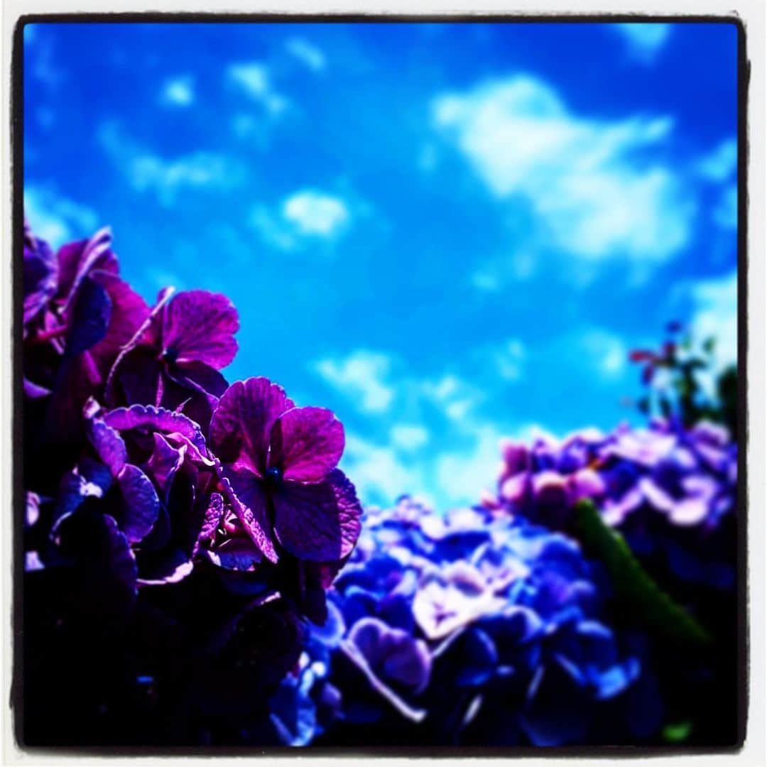 浅岡雄也のグルメインスタ