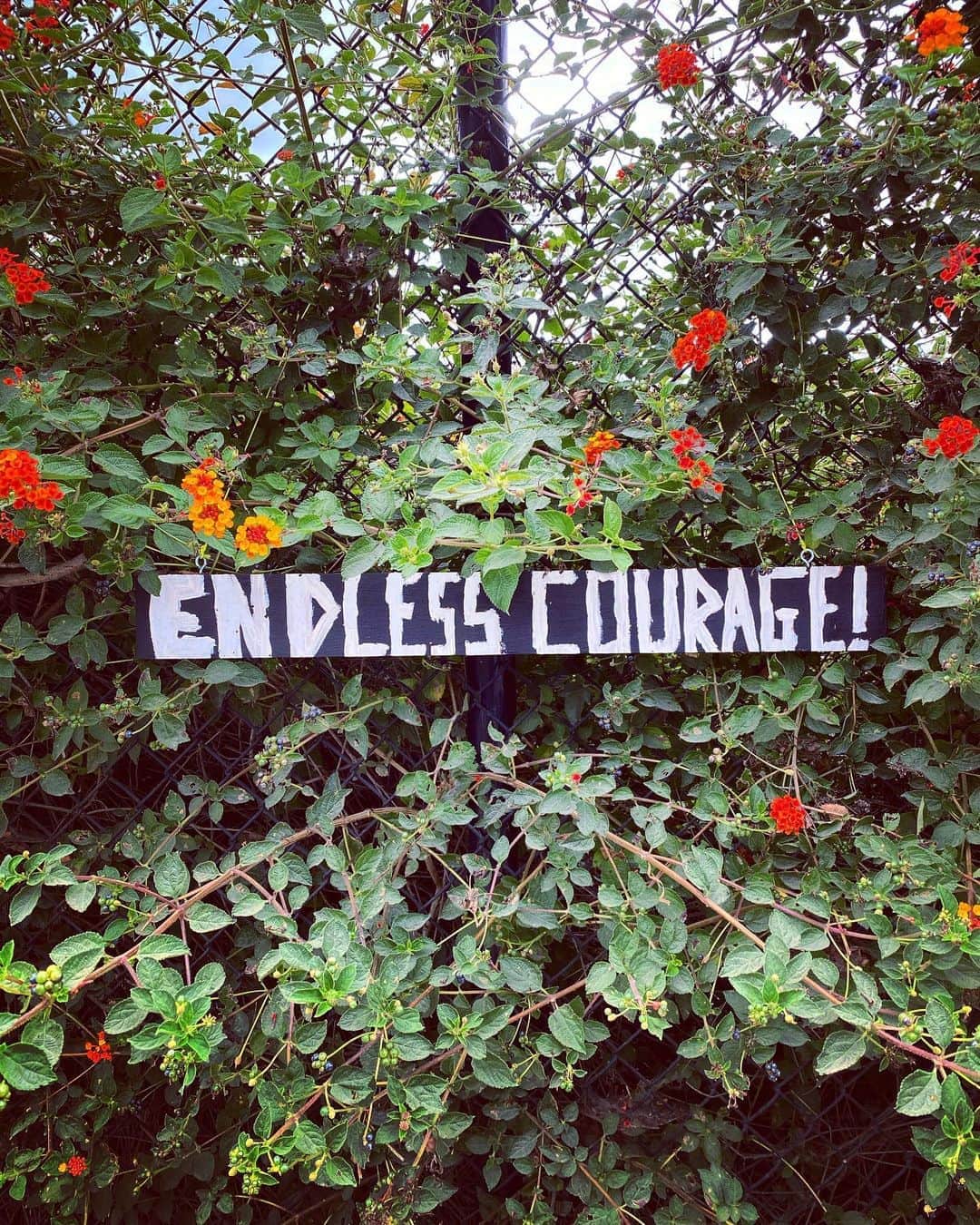 ザカリー・クイントさんのインスタグラム写真 - (ザカリー・クイントInstagram)「i am PROUD to be part of a community that has evolved from a place of courage. time and time again. we have risen up in the face of adversity. we have stood our ground in the face of those who would see us stomped. we have shined. we have twirled. we have thrived. now - more than ever - we need each other... and we need endless courage for the road ahead. we have come so far and we have so far to go. HAPPY PRIDE to all my LGBTQIA+ brothers and sisters and siblings. i am so deeply grateful to be counted among you! 🌈💓🌈💓🌈💓🌈💓🌈💓🌈💓🌈」6月29日 12時17分 - zacharyquinto