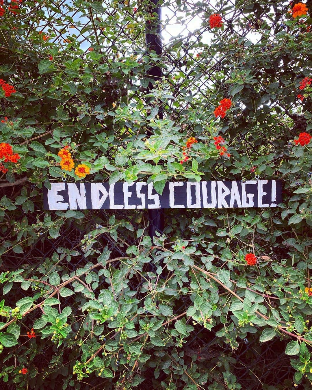 ザカリー・クイントのインスタグラム：「i am PROUD to be part of a community that has evolved from a place of courage. time and time again. we have risen up in the face of adversity. we have stood our ground in the face of those who would see us stomped. we have shined. we have twirled. we have thrived. now - more than ever - we need each other... and we need endless courage for the road ahead. we have come so far and we have so far to go. HAPPY PRIDE to all my LGBTQIA+ brothers and sisters and siblings. i am so deeply grateful to be counted among you! 🌈💓🌈💓🌈💓🌈💓🌈💓🌈💓🌈」