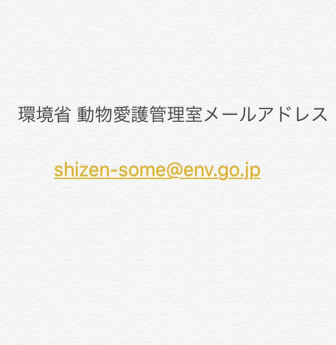 二階堂ふみさんのインスタグラム写真 - (二階堂ふみInstagram)「数値規制メールアクション  わかりやすい記入例、宛先をシェアさせて頂きます！  #数値規制 #数値規制メールアクション  @vivace_f  @negiko888  @hana_matsushima_animal  @kuremama68  @nozo0806  @daichi_matsuno」6月29日 13時30分 - fumi_nikaido