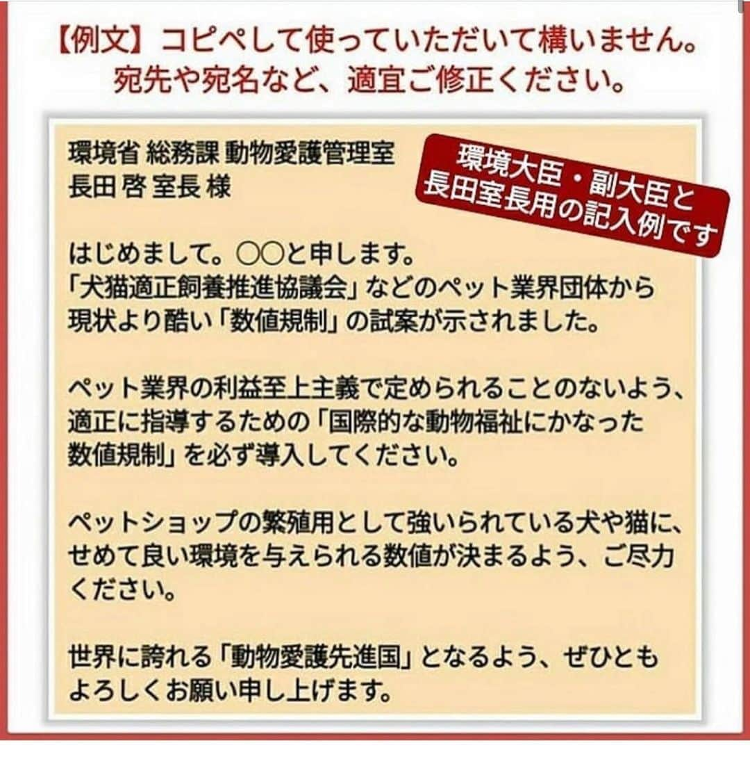 二階堂ふみさんのインスタグラム写真 - (二階堂ふみInstagram)「数値規制メールアクション  わかりやすい記入例、宛先をシェアさせて頂きます！  #数値規制 #数値規制メールアクション  @vivace_f  @negiko888  @hana_matsushima_animal  @kuremama68  @nozo0806  @daichi_matsuno」6月29日 13時30分 - fumi_nikaido