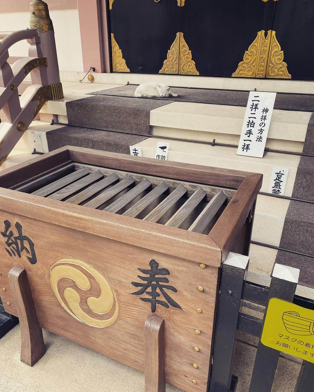 SHOCK EYEさんのインスタグラム写真 - (SHOCK EYEInstagram)「お久しぶりの今戸神社⛩ 本殿のとこで、白い猫ちゃんがお昼寝。 一気に癒されたよ^_^ #縁結び #今戸神社 #招き猫 #招 #マスク着用 #写真の時だけ外してます #恋つづ」6月29日 15時00分 - shockeye_official