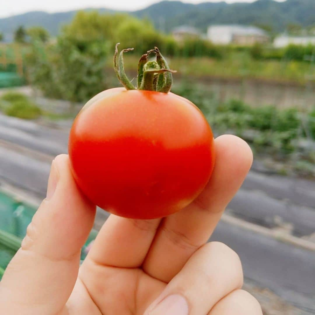 焼肉らんどのインスタグラム