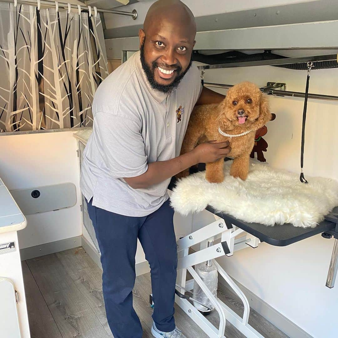 BarkBoxさんのインスタグラム写真 - (BarkBoxInstagram)「In this edition of our “COOL DANG DOG BUSINESSES,” say hello to the Dog Father of Harlem and founder of @harlemdoggiedayspa , Brian Taylor! Brian started out with a banking background and was quickly introduced to the pet industry by a banking customer who was a dog walker and groomer. They opened Harlem Doggie Day Spa, where Brian started off mostly managing finances and soon discovered how much he enjoyed dog grooming, so he got officially certified. He knew that HDDS was his calling and used his corporate and customer service experience to grow HDDS into one of the first businesses of its kind in the neighborhood offering everything from grooming, daycare and boarding to supplies for dog owners. Since its opening, Brian has taken care of around 10,000 dogs in NYC!! . The pandemic forced Brian to initially shut down his facility. As he slowly began re-opening and grooming one dog at a time, he discovered people were donating money for those who may not be able to afford a dog grooming during this time. These donations inspired Brian to start a “Pup Pandemic Relief Tour” where he will be partnering with groomers across the nation, this summer providing free grooming and spa services to dogs in need. . Show some love by clicking the link in our bio!!」6月30日 4時00分 - barkbox