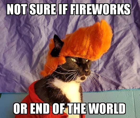 猫コスプレさんのインスタグラム写真 - (猫コスプレInstagram)「If you could all contain your enthusiasm to just 1 night... Signed~ Quadrapeds and Bipeds everywhere.  #fireworks #futurama #fry #philipjfry . . . . . . . . #frymeme #cat #catcostume #catsinclothes #catcosplay #cosplay #cosplayer #frycosplay #futuramamemes #futuramacosplay」6月30日 4時14分 - cat_cosplay