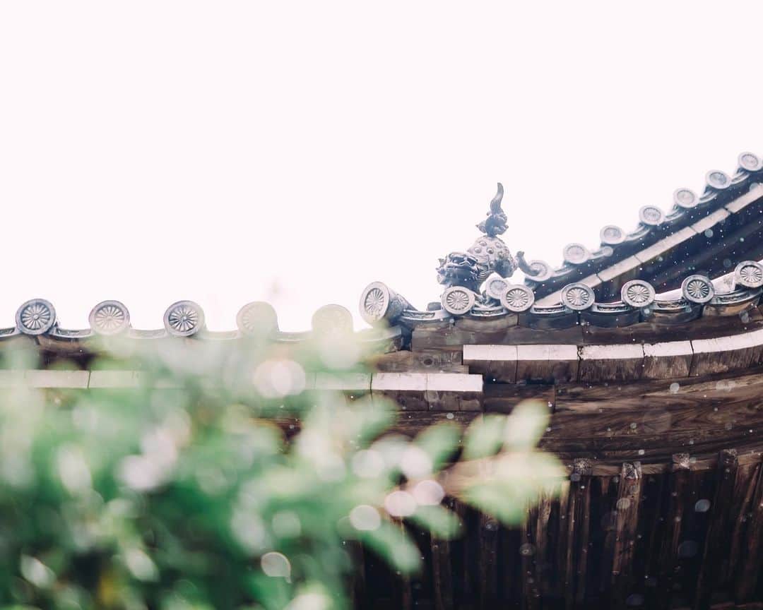 fuka_09さんのインスタグラム写真 - (fuka_09Instagram)「﻿ ﻿ 雨の #岡寺﻿ ﻿ #花手水﻿ #わたしは奈良派﻿ ﻿ ﻿ ﻿ 奈良県の明日香村にある﻿ 岡寺は1300年前に建立された﻿ 日本最初のやくよけ霊場﻿ ﻿ ﻿ 私が奈良が好きな理由のひとつが﻿ とにかく古い寺社が今も現存していて﻿ 厳かな雰囲気が感じられる﻿ ところなんです𓃲﻿ ﻿ ﻿ わたしは奈良派のアカウントも﻿ チェックしてみてくださいね〜﻿」6月29日 19時37分 - fuka_09